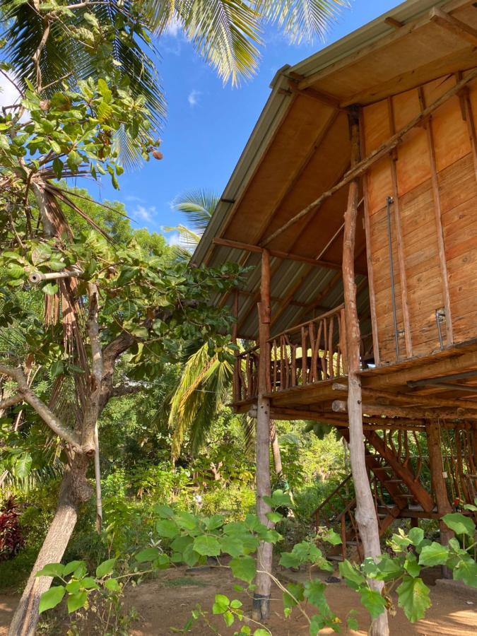 Sigiriya Paradise Treehouse מראה חיצוני תמונה