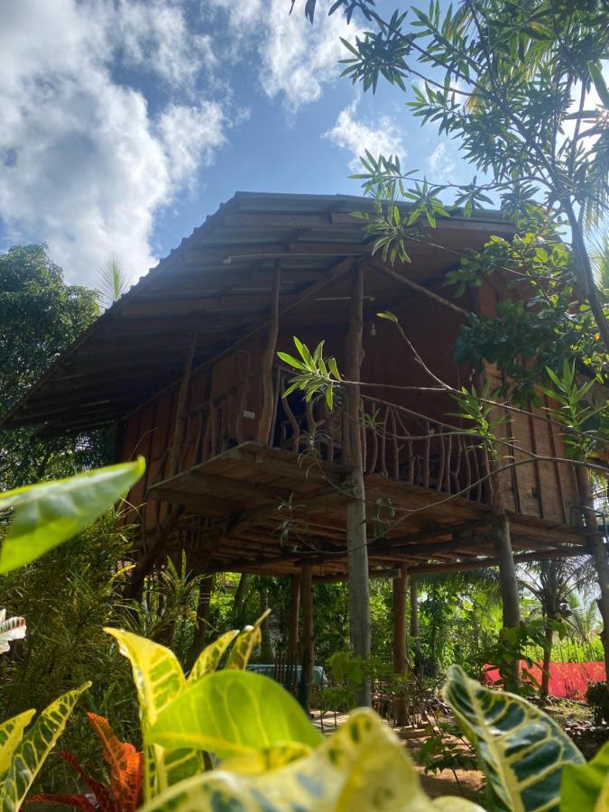 Sigiriya Paradise Treehouse מראה חיצוני תמונה