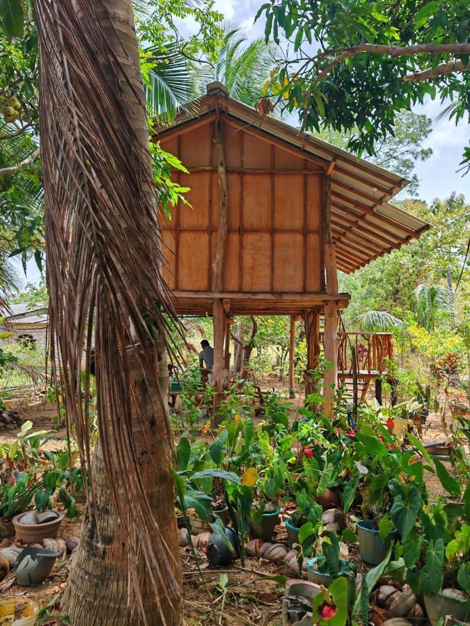 Sigiriya Paradise Treehouse מראה חיצוני תמונה