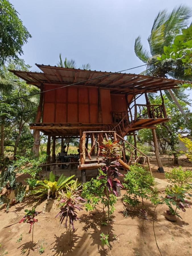 Sigiriya Paradise Treehouse מראה חיצוני תמונה