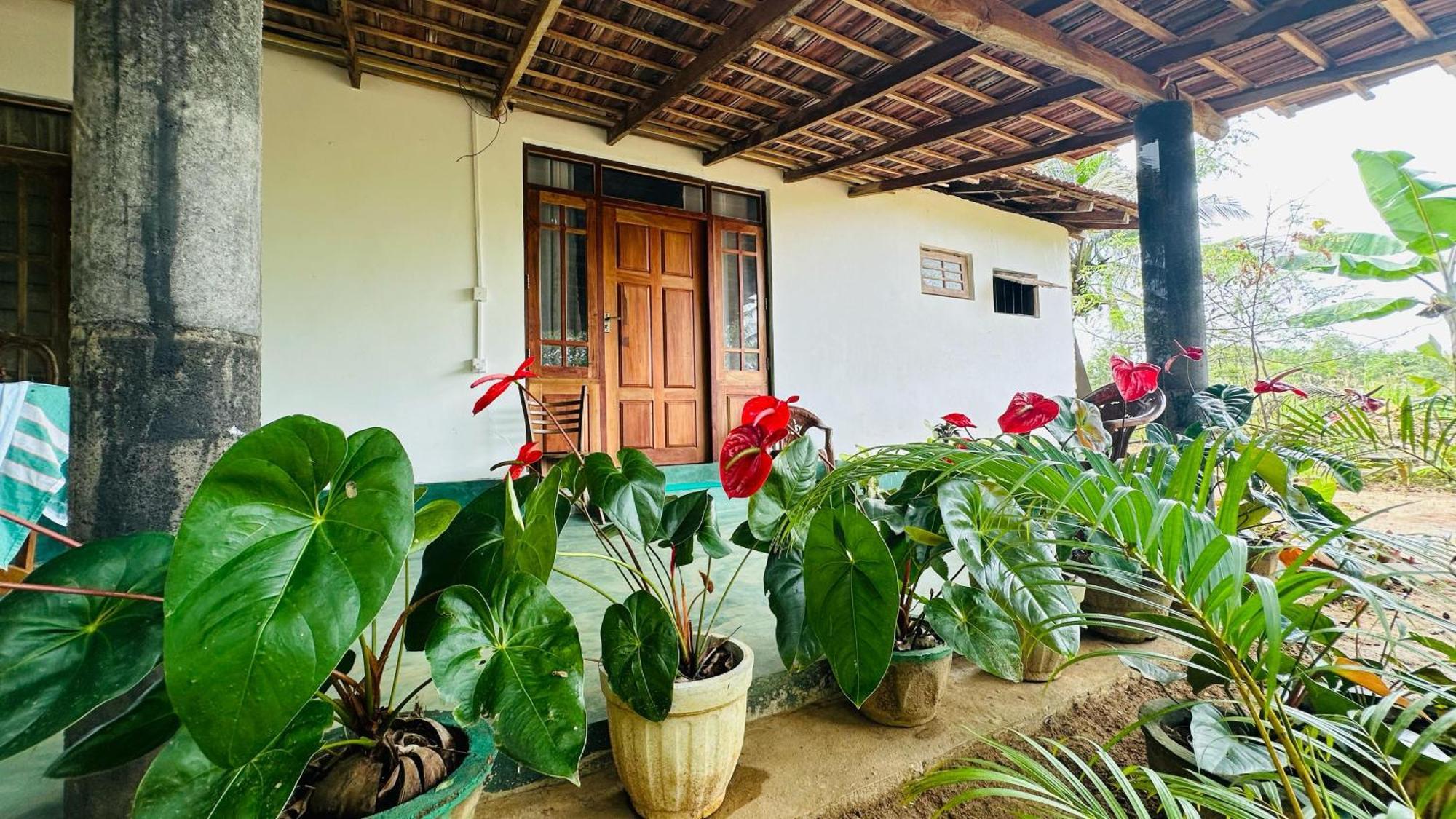 Sigiriya Paradise Treehouse מראה חיצוני תמונה